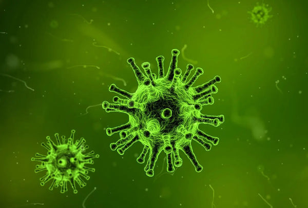 generic germ microscopic image