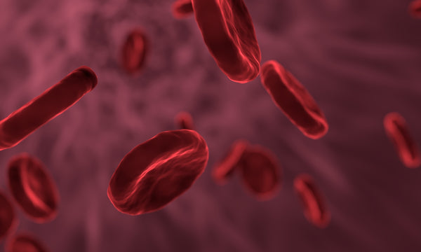 A generic illustration of red blood cells.