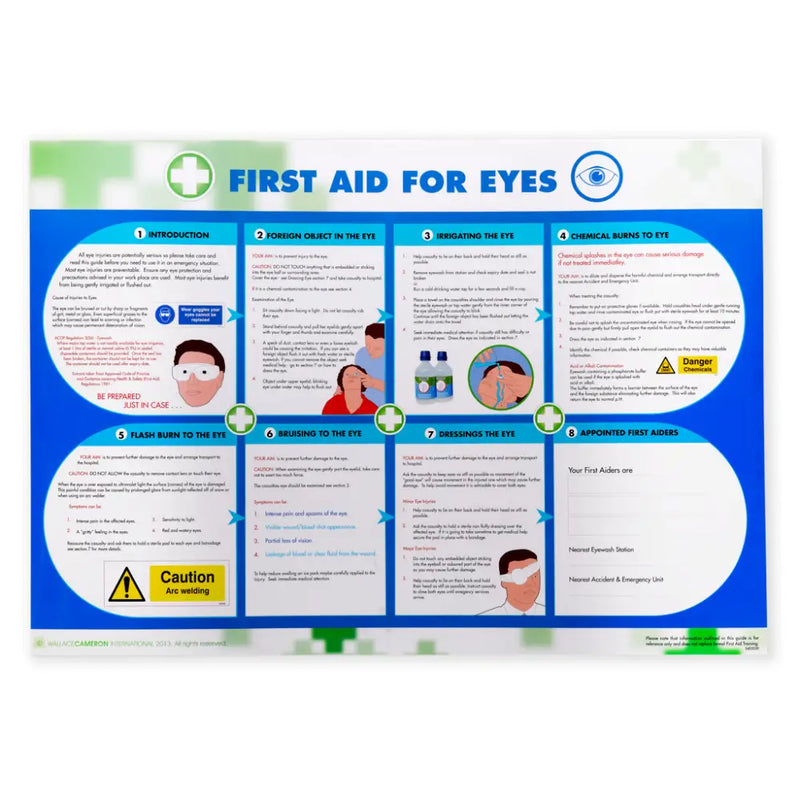 First Aid for Eyes Poster